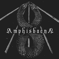 Amphisbaena : Amphisbaena
