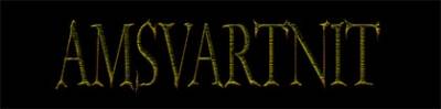 logo Amsvartnit