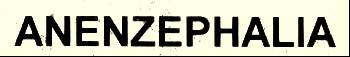 logo Anenzephalia logo Anenzephalia