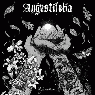 Angustifolia : Rytruviskerka