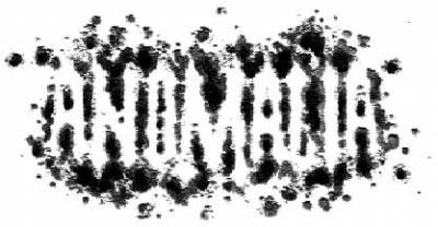 logo Anomalia