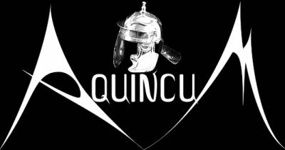 logo Aquincum