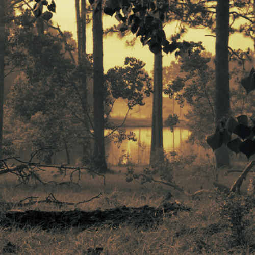 Oblívio​.​.​.