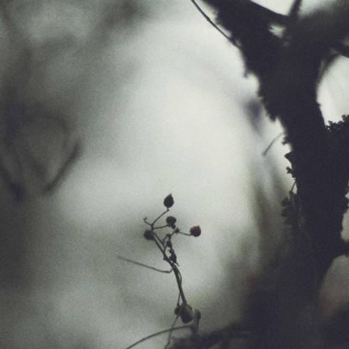 Arche : Undercurrents