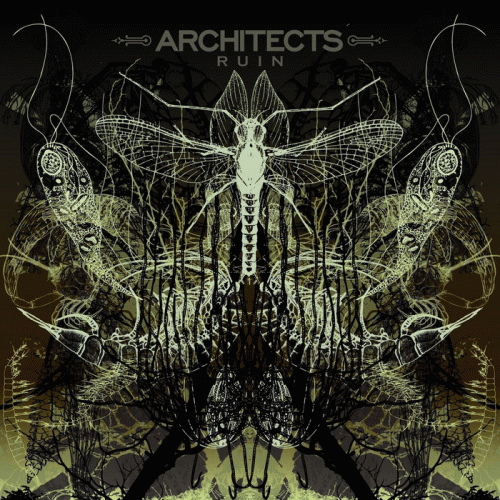 Architects : Ruin
