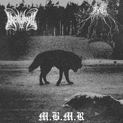 Archurahl : M.B.M.R.