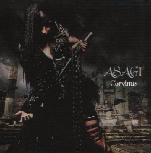 Asagi : Corvinus