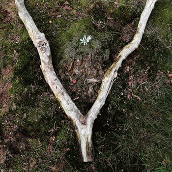 Asarhaddon : Nachsuche