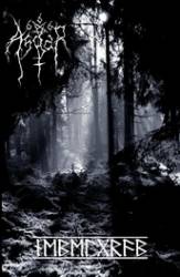 Asgar : Nebelgrab Asgar : Nebelgrab