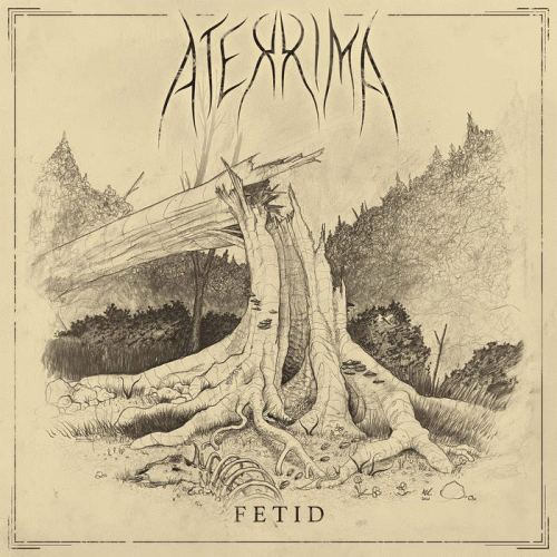 Aterrima : Fetid