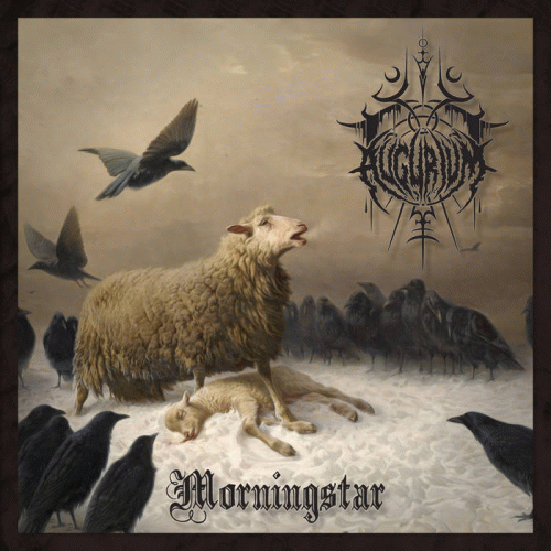 Augurium : Morningstar