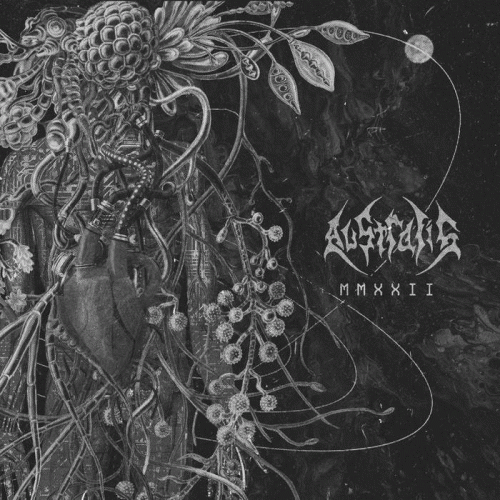 Australis (USA) : MMXXII