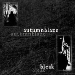 Autumnblaze : Bleak