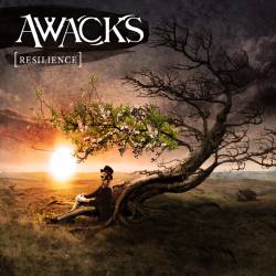 Awacks : Resilience