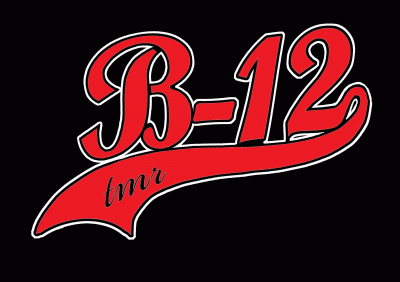logo B12