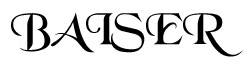 logo Baiser