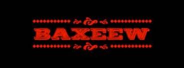logo Baxeew
