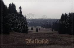 Bergwacht : Waldpfad