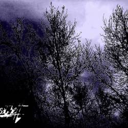 Besathett : Silencio