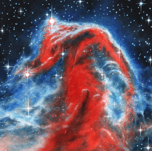 Bianca : Declaration