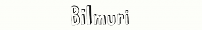 logo Bilmuri