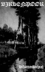 Birkenmoor : Schattenbachtal