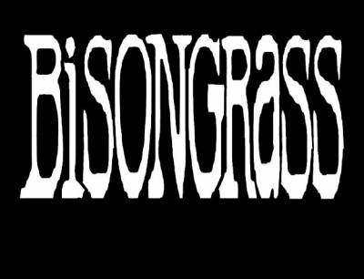 logo Bisongrass