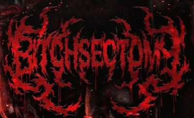 logo Bitchsectomy
