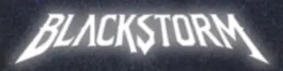 logo BlackStorm