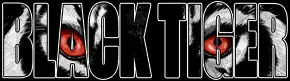 logo BlackTiger
