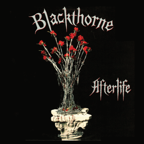 Blackthorne (USA-1) : Afterlife