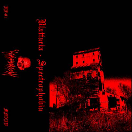 Blattaria : Spectrophobia