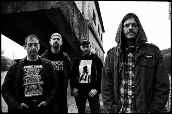 interview Blockheads