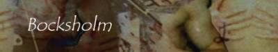 logo Bocksholm