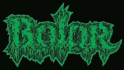 logo Bolor