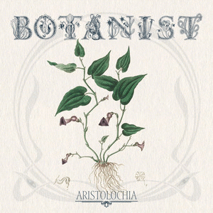 Botanist : Aristolochia