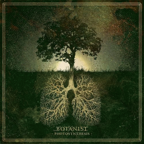 Botanist : Photosynthesis