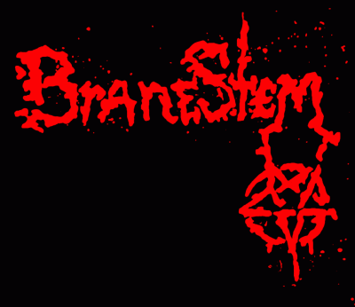 logo BraneStem
