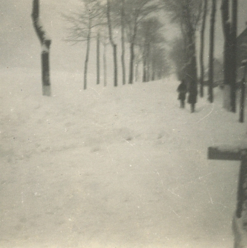 Brudt : Sommersolhverv