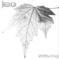 Brudywr : Withering