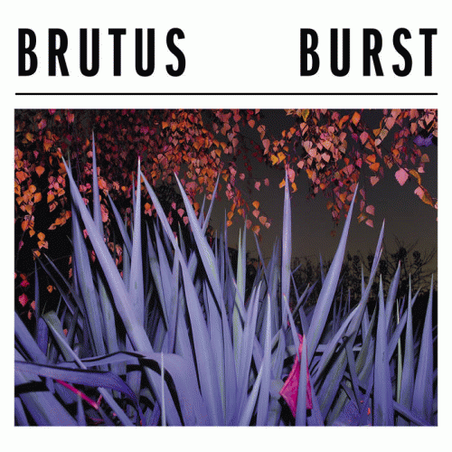 Brutus (BEL) : Burst