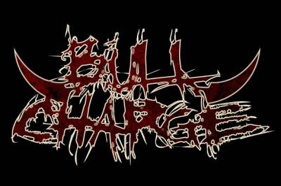 logo Bullcharge