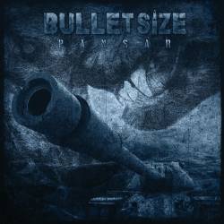 Bulletsize : Pansar