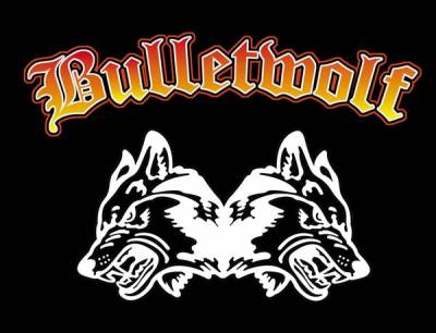 logo Bulletwolf logo Bulletwolf