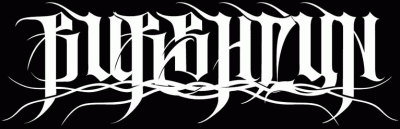logo Burshtyn