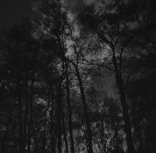 Burza : Raindrop Burza : Raindrop