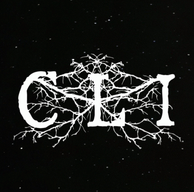 logo CLI logo CLI