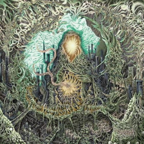 Claustrum : Claustrum