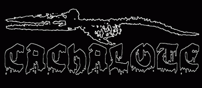 logo Cachalote