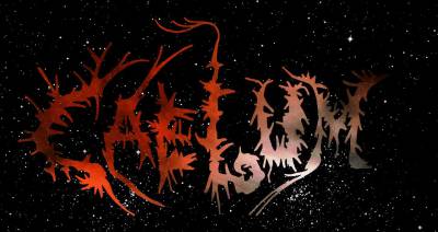 logo Caelum (FRA) logo Caelum (FRA)